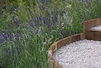 The Lavender Garden. Lavender surrounding raised gravel pathway edged with wood. Designers: Paula Napper, Sara Warren and Donna King. Sponsor: Shropshire Lavender. 