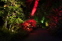 A path through illuminated foliage and trees at Abbotsbury Subtropical Garden in October