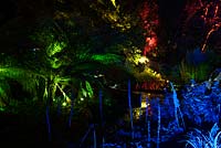 Tree ferns illuminated with green lights are surrounded by blues, reds and yellows at Abbotsbury Subtropical Gardens in October