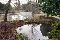 Mist rises from water in the Wells Garden at the Bishop's Palace in Well on a November morning