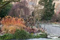 Colourful stems of cornus mix with the skeletal remains of herbaceous perennials beside the Well Pool in the Bishop's Palace garden at Wells on a November morning