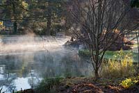 Mist rises from the Well Pool in the Bishop's Palace garden in Wells on a cold November morning