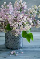 Lilac in a metallic vase