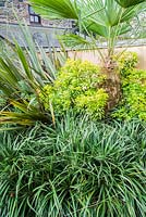 A collection of bold foliage plants including Fascicularia bicolor, phormiums, Choisya ternata Sundance and Trachycarpus fortunei.