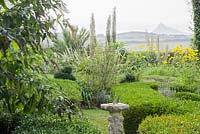 The distinctive outline of St Michael's Mount viewed from the sundial garden across clipped box hedges is framed by tall flower stems of echiums, yellow helianthus and fennel.