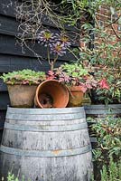 A decorative arrangement of plants, containers and objects against black weatherboarding includes Aeonium 'Zwartkop', geraniums and wooden rainwater barrels.