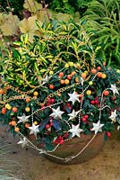 Brightly coloured foliage and berries for autumn and winter in a terracotta bowl with decorations added for a Christmas theme . Winter Cherry, Solanum capsicastrum with Gaultheria procumbens and Euonymus japonicus 'Aureopictus'.