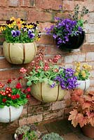 Ceramic wall pots planted with spring favourites including Primula auricula, Campanula poscharskyana, Bellis perennis 'Tasso Red' and Violas with houseleeks and Heucheras at the base.