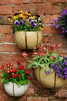 Ceramic wall pots planted with spring favourites including Primula auricula, Campanula poscharskyana, Bellis perennis 'Tasso Red' and Violas.