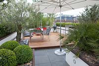 Roof terrace garden in Rotterdam, Holland. Overview.  Betula utilis 'doorenbos'