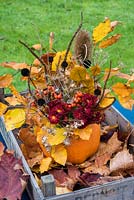 Autumn flower arrangement in pumpkin 'vase' in garden with leaves, chrysanthemums and seedheads