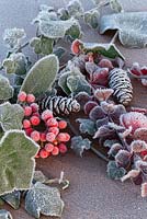 Frosted Pine cones, Ivy and Skimmia berries