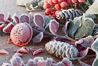 Frosted red bell bauble, Pine cones, Ivy and Skimmia berries
