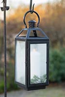 Large white candle with Hebe foliage in a black lantern