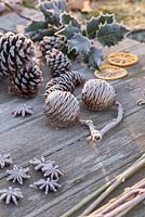 Frosted Pine cones, Star anise seeds and Holly leaves on wooden surface