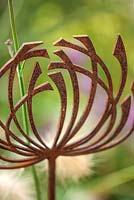 A rusty metal Allium sculpture amongst Pennisetum

