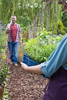 Young girl carrying tray of plants with man in background carrying garden fork over shoulder