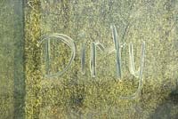 'Dirty' written on a dirty greenhouse glass pane