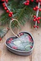 Frozen metal heart moulds containing Pine foliage, Eucalyptus, Ilex verticillata berries and water