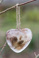 Frozen hearts made with Larch cones and Fern foliage, hanging on a branch