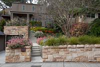 A terraced garden with sandstone block walls, a border planting on Lomandra 'Tanika', Kalanchoes, Lagerstroemia indica, Crepe Myrtle, Aloes with bright orange flowers and Plumerias, Frangipanis.