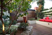 Inner city courtyard with raised beds including a Cercis tree, awater feature sits in front of a rusty decorative screen and colourful bench seating