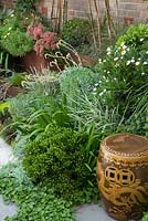 Detail of garden with mixed planting of  Scaevola - native fan flower, Crassula ovata 'Gollum', Sedum 'Autumn Joy' and various grasses. Ground covers Viola hederacea, Australian native violet in the foreground. An Asia ceramic chair is seen.  