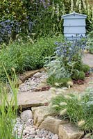 Path over dry pebble bed, Pennisetum villosum, Eryngium bourgatii, Verbascum 'Album' and blue beehive in the background - The Drought Garden, RHS Hampton Court Palace Flower Show 2016