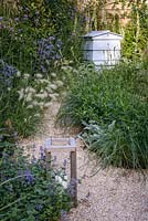 A gravel path leading to blue wooden beehive among Nepeta x fassenii, Stachys byzantina 'Big Ears' and Pennisetum villosum. The Drought Garden, RHS Hampton Court Palace Flower Show 2016. Design: Steve Dimmock