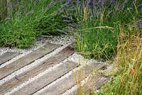 Lavandula x intermedia 'Grosso', wood and gravel path Hampton Court Flower Show 2016. 'The Lavender Garden' Designed by Paula Napper, Sara Warren, Donna King
