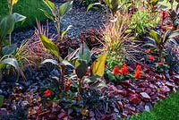 A ring of hot-looking translucent glass rocks and fiery-coloured flowers including dark foliage cannas and coleus. Wormhole Foramen vermis Garden, RHS Hampton Court Palace Flower Show 2016. Designed by John Humphreys, Andy Hyde