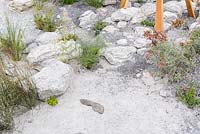 White stone and gravel Meandering Path with Footprints Near Future Garden, RHS Hampton Court Palace Flower Show 2016. 