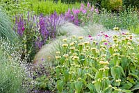 A section of a herbaceous border at Bluebell Cottage Gardens, Cheshire. Plants include ornamental grasses such as Stipa as well as  Phlomis russeliana, Salvia nemorosa, Lychnis coronaria, Papaver somniferum and Sidalceas