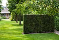 Geometric yew hedging shapes. Anneke Meinhardt garden