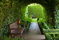 A path through an ivy tunnel