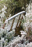 Wooden bench among frosted shrubs and perennials