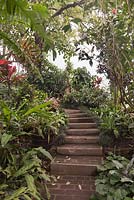 Stone path and steps with Ophiopogon japonicus edging through tropical gardens - Lake Atitlan Hotel, Guatemala