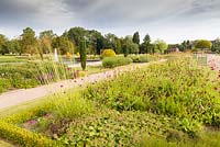 The Italian Garden at Trentham Gardens, Staffordshire - designed by Tom Stuart-Smith. Planting includes Knautia macedonica, fastigate Irish yews, Portuguese laurels in planters and Stipa gigantea