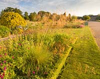 Just after dawn in the Italian Garden at Trentham Gardens, Staffordshire - designed by Tom Stuart-Smith. Planting includes Portuguese laurels, Knautia macedonica and Stipa gigantea