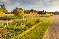 Just after dawn in the Italian Garden at Trentham Gardens, Staffordshire - designed by Tom Stuart-Smith. Planting includes Portuguese laurels, Knautia macedonica, Sedum and Stipa gigantea