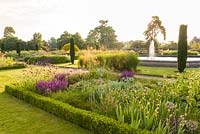 Just after dawn in the Italian Garden at Trentham Gardens, Staffordshire - designed by Tom Stuart-Smith. Planting includes Salvias, Stipa gigantea, fastigate irish yews and Knautia macedonica