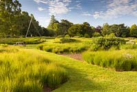 Two varieties of Molinia caerulea dominate the planting of the Rivers of Grass area of Trentham Gardens, Staffordshire. Designed by Piet Oudolf. Molinia caerulea 'Edith Dudszus' and Molinia caerulea 'Heidebraut'