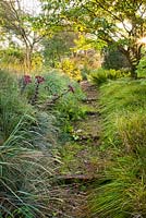 Steps leading through flowerbeds  of perennials and grasses. Aan de Dijk nursery and garden in The Netherlands