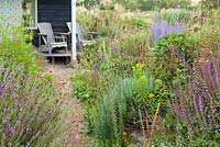 Perennial meadow with a path leading to the deck patio with wooden recliners. Planting includes Erysimum Bowles Mauve, Salvia nemorosa, Euphorbia, Verbena bonariensis, Salvia. Design: Madelien van Hasselt