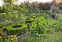 Kitchen garden. Apple trees with clipped Box hedging underneath. Luc 