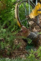 A rustic vintage chicken garden ornament and an old bicycle painted yellow in a herb garden.