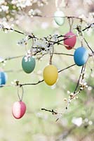 Easter eggs hanging from branches