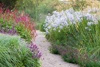 A path through the  Floral Labyrinth at Trentham Gardens, Staffordshire, designed by Piet Oudolf. Photographed in summer planting includes Phlox paniculata, Stipa Gigantea, Agastaches and Persicarea