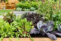 Growing Vegetables in raised beds.  Health for Life Community Garden. Best In Show: GOLD. BBC Gardeners World Live 2016 . Designer: Owen Morgan. RHS Flower Show Birmingham