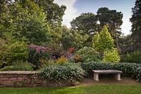 A stone bench in front of ivy covered walls bordering beds of perennials and woodland beyond - October, Abbeywood Gardens, Cheshire